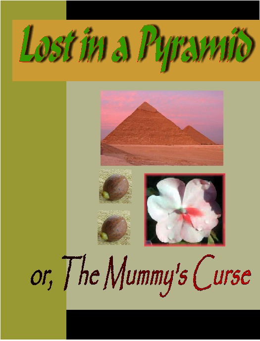 Title details for Lost in a Pyramid or The Mummy's Curse by Louisa May Alcott - Available